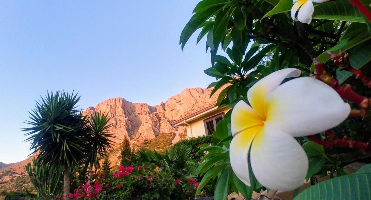 Bed & Breakfast Ciuri Ri Zagara